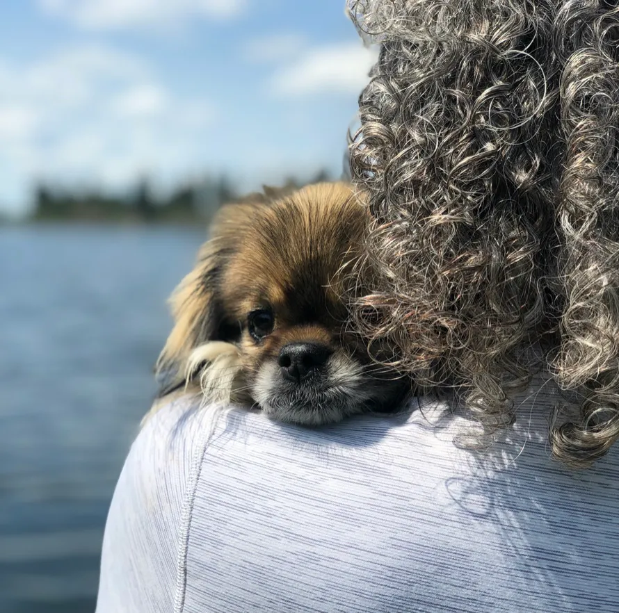 Cabin Rental Elk Island National Park