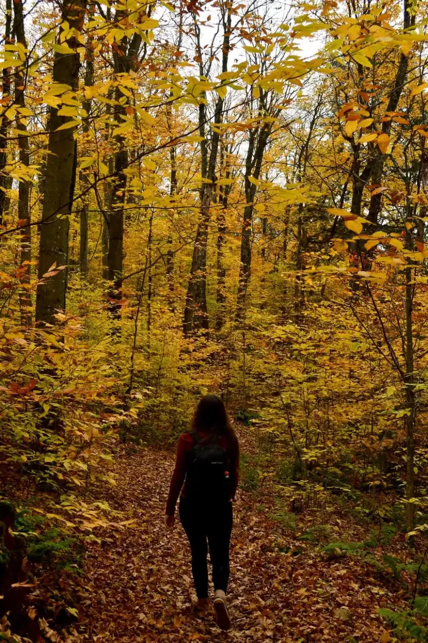 Solo Escape - Beaver Hills Retreat