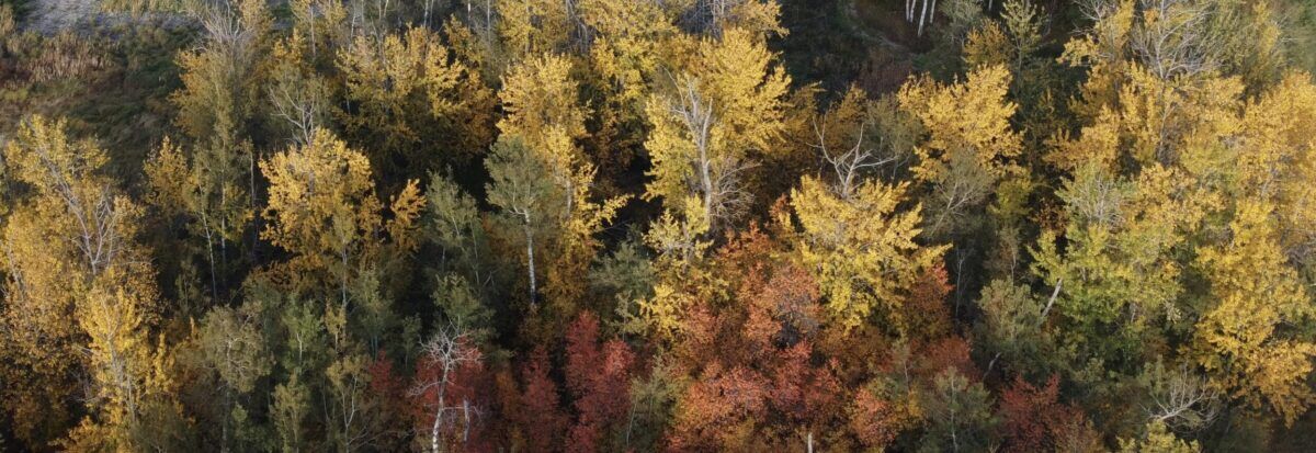 Beaver Hills Retreat fall cabin rental