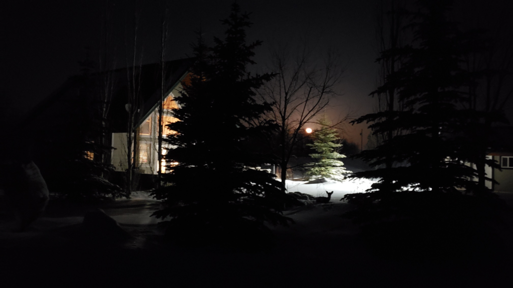 Dark Sky Cabin Alberta