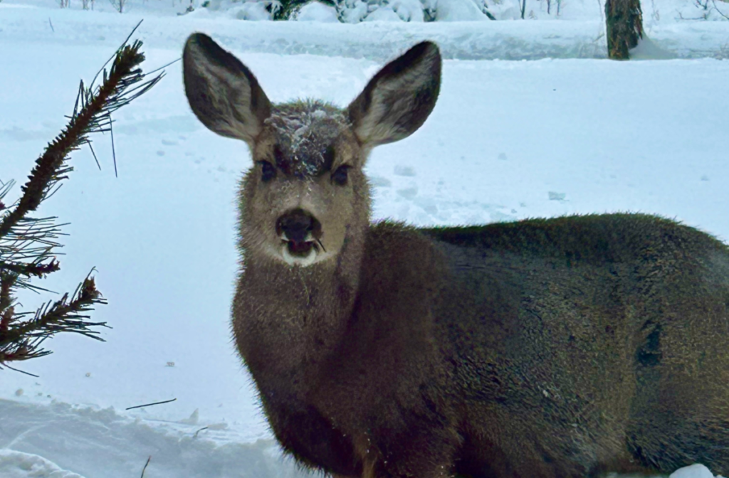Beaver Hills Nature Retreat