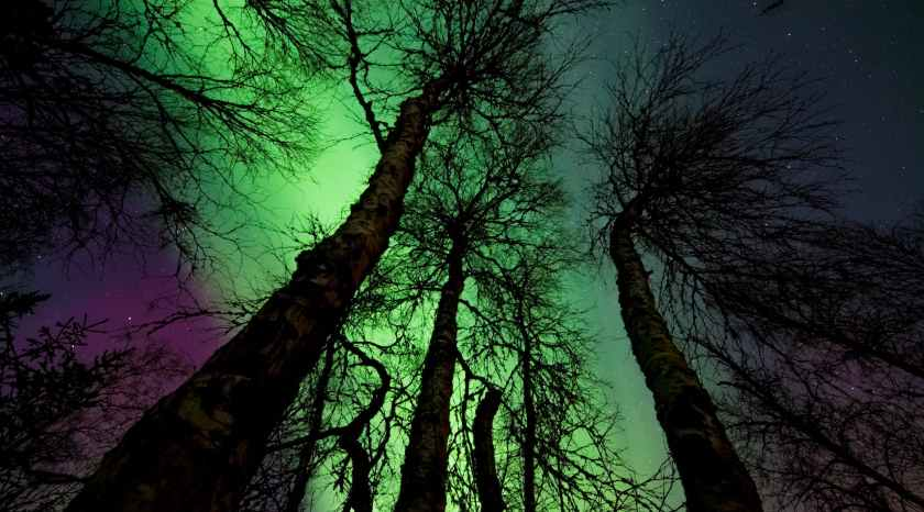 Private Dark Sky Northern lights stargazing Alberta