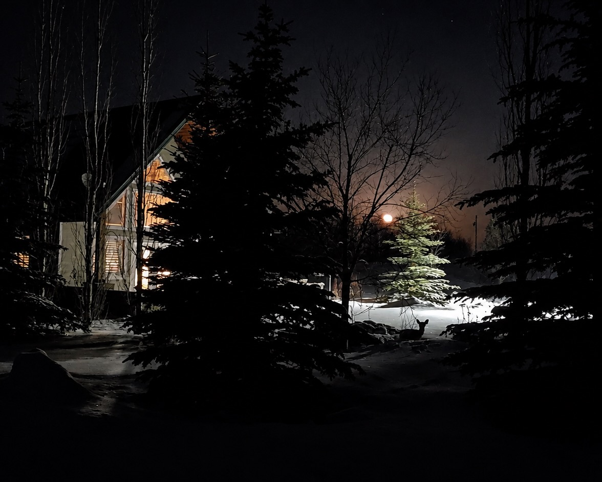Beaver Hills Dark Sky Preserve
