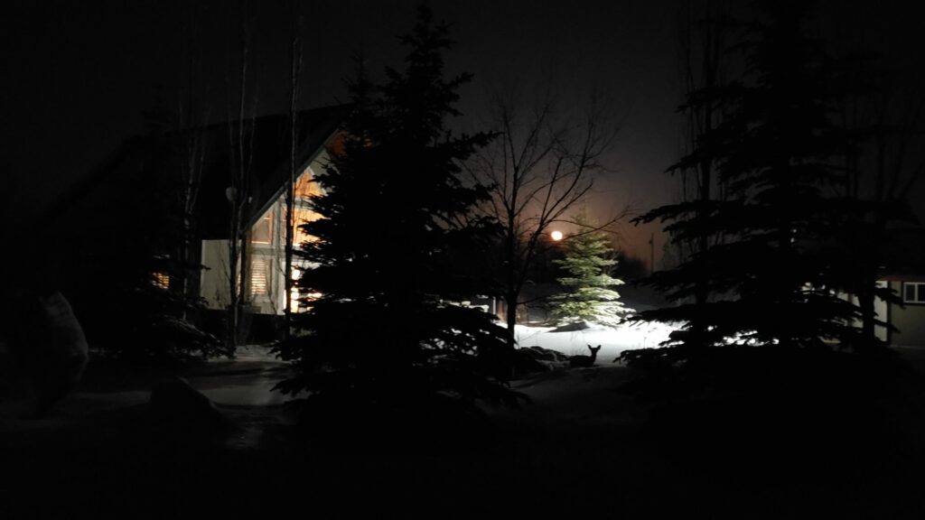 Night sky cabin edmonton, Alberta