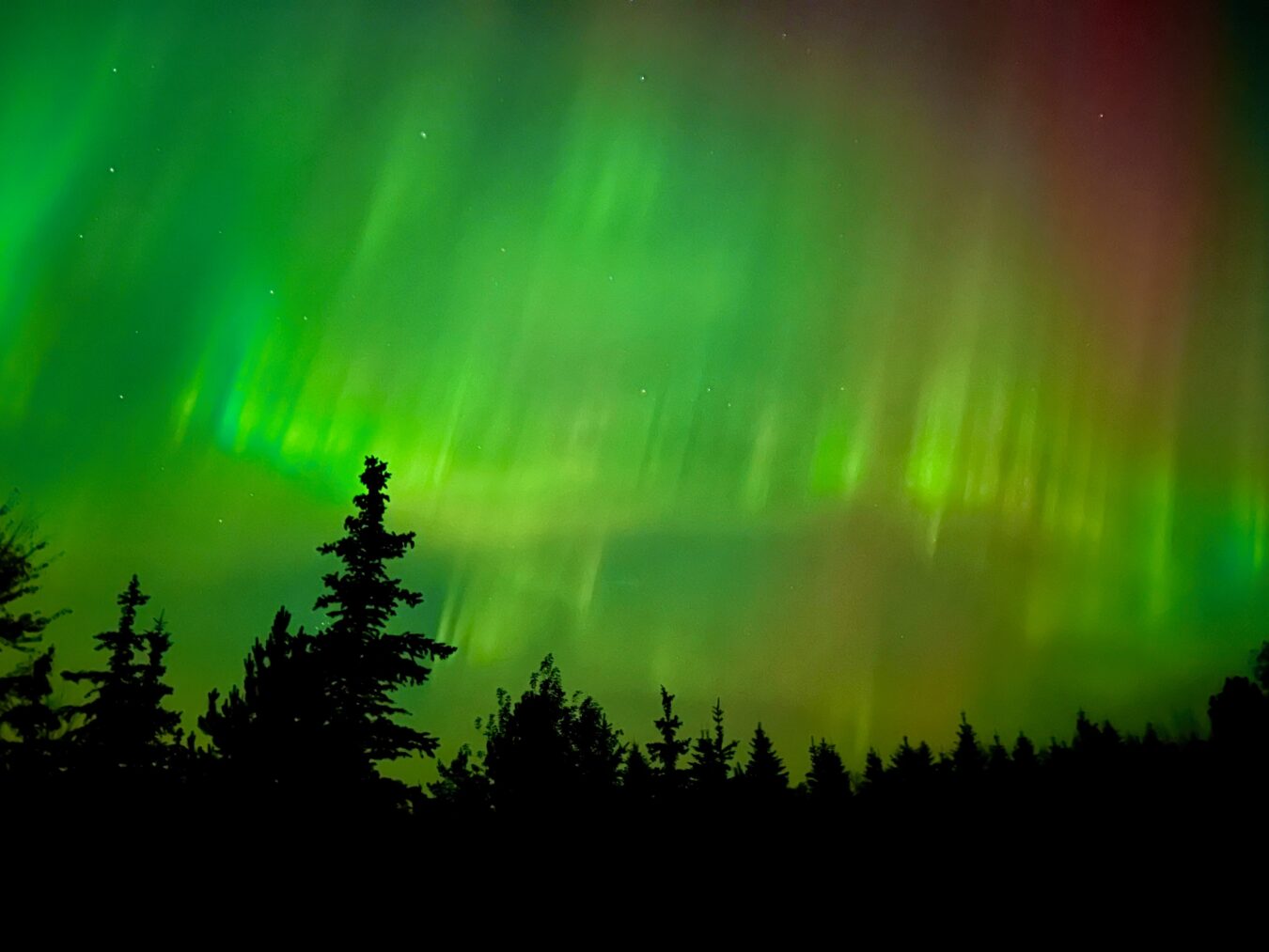 Stargazing in the Beaver Hills Dark Sky Preserve near Edmonton